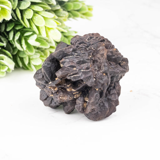 Prophecy Stone Pseudomorph 74.93 g 46x44mm - InnerVision Crystals