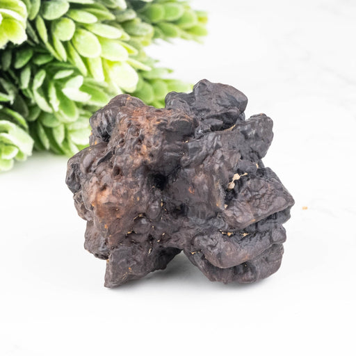 Prophecy Stone Pseudomorph 74.93 g 46x44mm - InnerVision Crystals