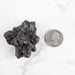 Prophecy Stone Pseudomorph 76 g 50x45mm - InnerVision Crystals