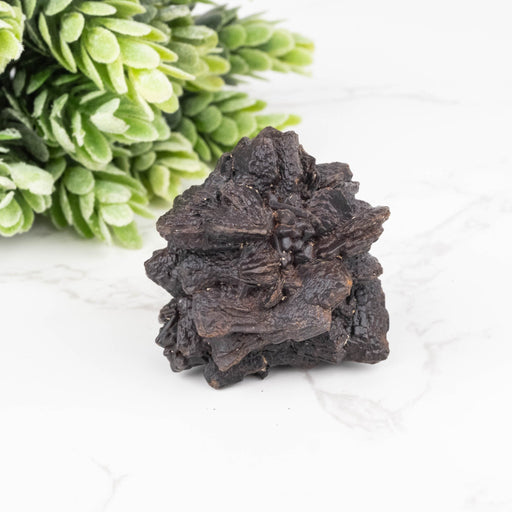 Prophecy Stone Pseudomorph 77 g 50x40mm - InnerVision Crystals