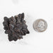Prophecy Stone Pseudomorph 77 g 50x40mm - InnerVision Crystals