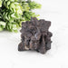 Prophecy Stone Pseudomorph 77 g 50x40mm - InnerVision Crystals