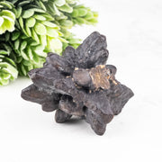 Prophecy Stone Pseudomorph 79.88 g 56x49mm - InnerVision Crystals