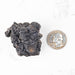 Prophecy Stone Pseudomorph 82.07 g 41x39mm - InnerVision Crystals