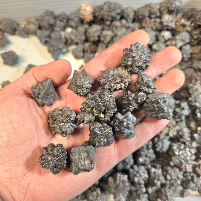 Prophecy Stones - Mixed Shapes Small / Medium 1 Kilo | Wholesale - InnerVision Crystals