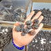 Prophecy Stones - Mixed Shapes Small / Medium 1 Kilo | Wholesale - InnerVision Crystals