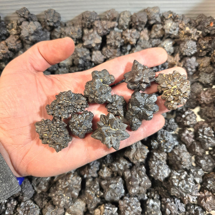 Prophecy Stones - Mixed Shapes Small / Medium 1 Kilo | Wholesale - InnerVision Crystals