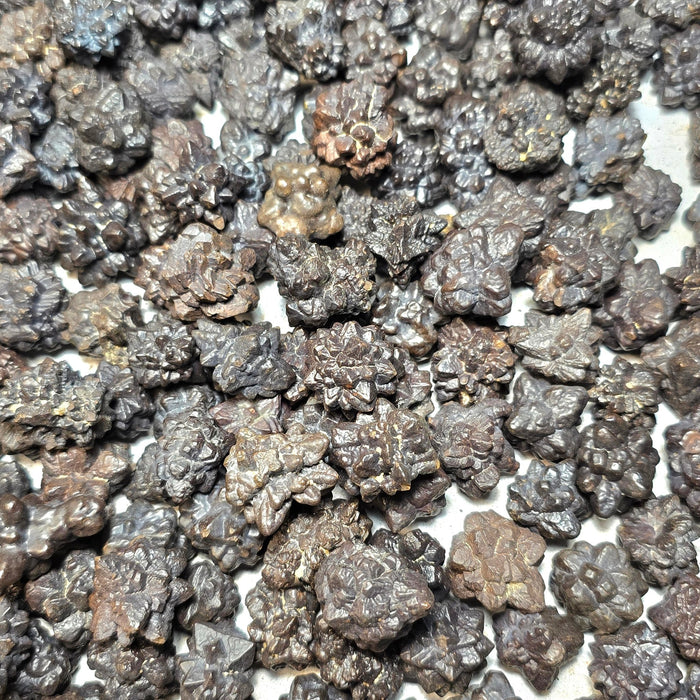 Prophecy Stones - Mixed Shapes Small / Medium 1 Kilo | Wholesale - InnerVision Crystals