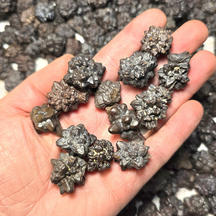 Prophecy Stones - Mixed Shapes Small / Medium 1 Kilo | Wholesale - InnerVision Crystals
