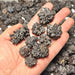 Prophecy Stones - Mixed Shapes Small / Medium 1 Kilo | Wholesale - InnerVision Crystals