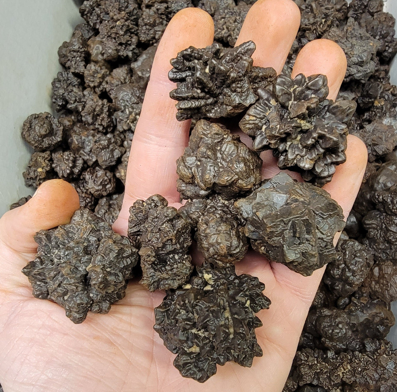 Prophecy Stones InnerVision Crystals