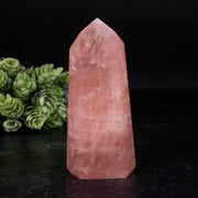 Rose Quartz 182 g 93x41mm - InnerVision Crystals