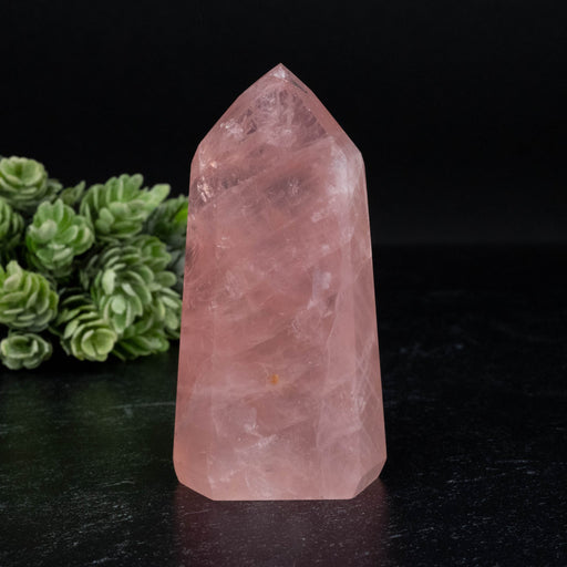 Rose Quartz 185 g 89x45mm - InnerVision Crystals