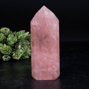 Rose Quartz 1876 g 99x39mm - InnerVision Crystals