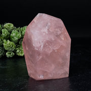 Rose Quartz 289 g 84x65mm - InnerVision Crystals