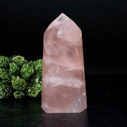 Rose Quartz 314 g 119x55mm - InnerVision Crystals