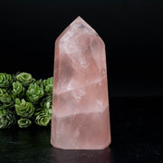 Rose Quartz 314 g 119x55mm - InnerVision Crystals