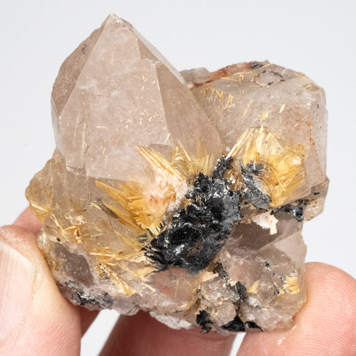 Rutile in Quartz 65 g 50x37mm - InnerVision Crystals