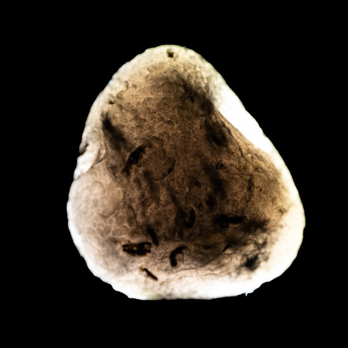 Saffordite 14.12 g 26x25mm - InnerVision Crystals