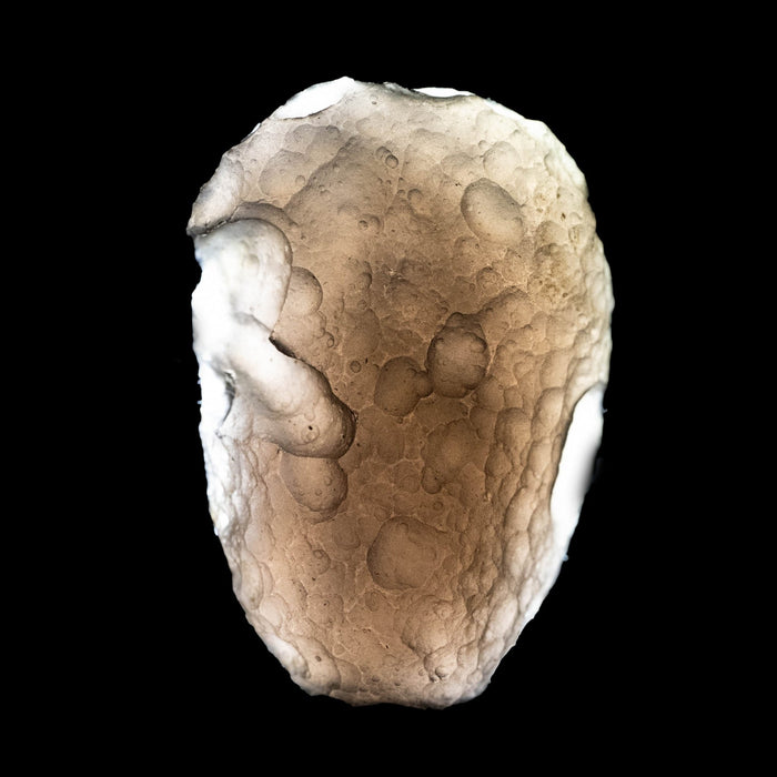 Saffordite 14.49 g 34x23mm - InnerVision Crystals