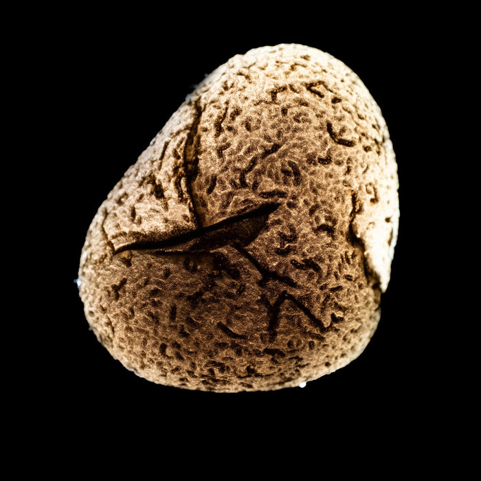 Saffordite 14.79 g 28x25mm - InnerVision Crystals