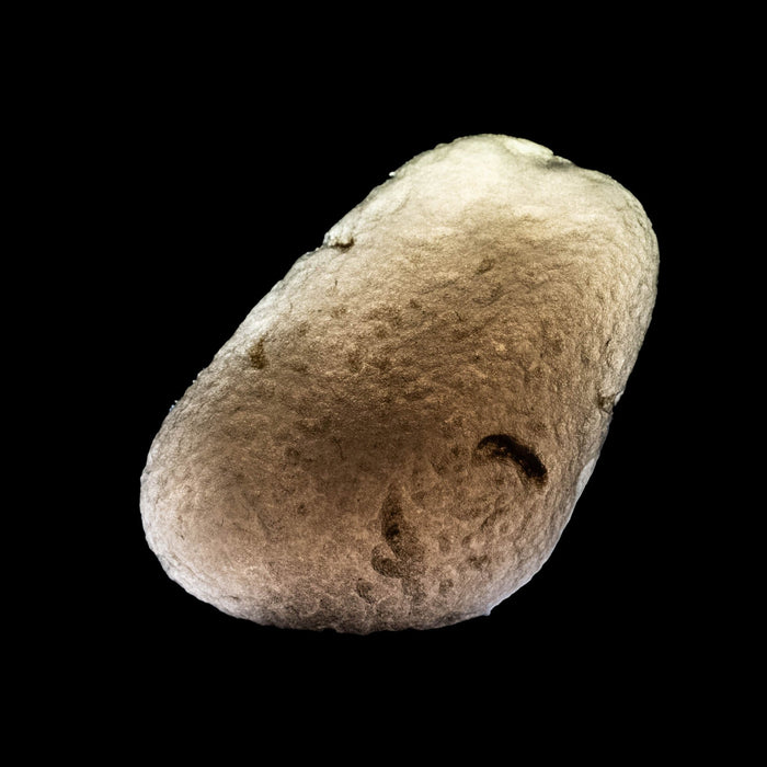 Saffordite 4.61 g 22x14mm - InnerVision Crystals