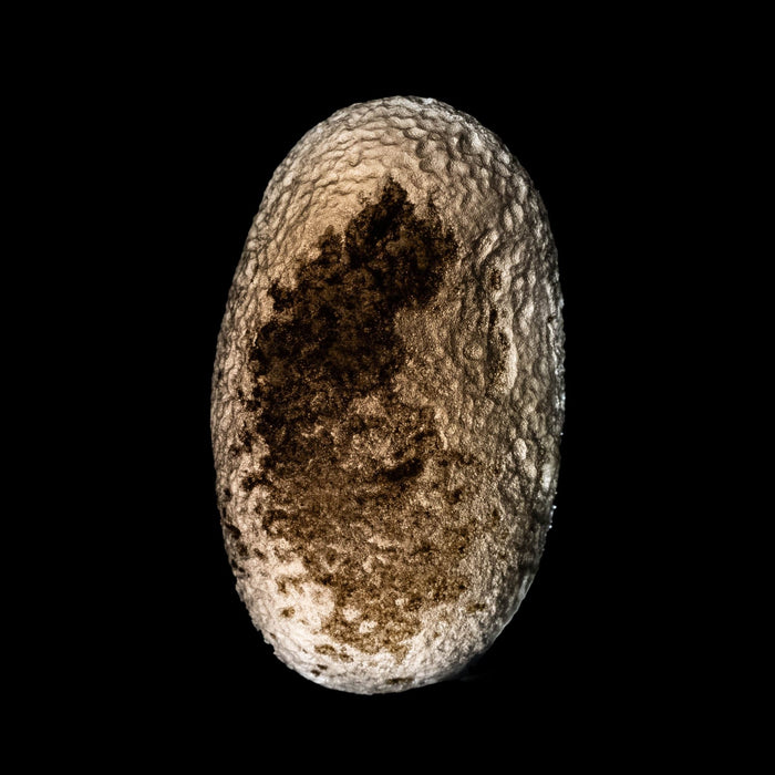 Saffordite 5.13 g 23x13mm - InnerVision Crystals