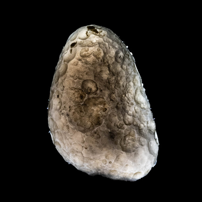 Saffordite 5.20 g 26x16mm - InnerVision Crystals