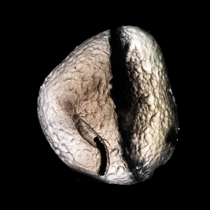 Saffordite 5.23 g 21x19mm - InnerVision Crystals