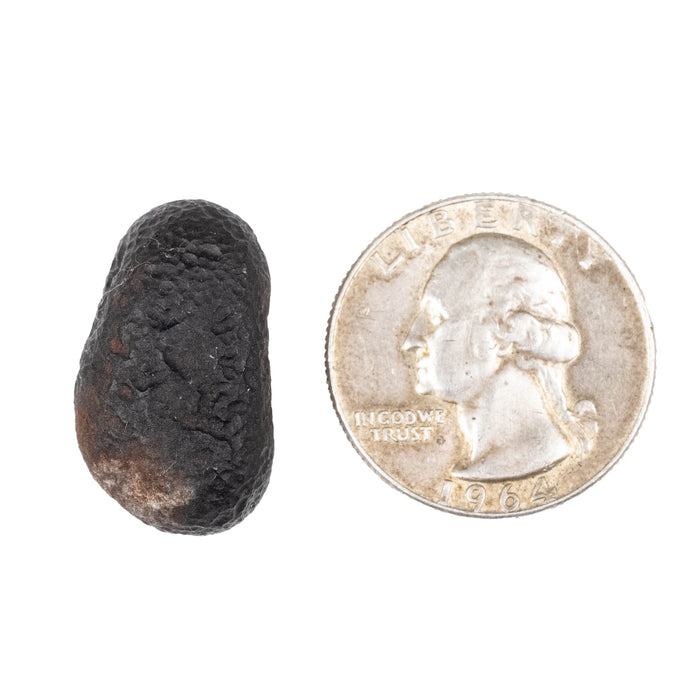 Saffordite 5.66 g 24x14mm - InnerVision Crystals