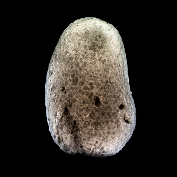 Saffordite 6.77 g 27x17mm - InnerVision Crystals