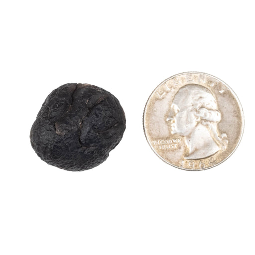 Saffordite 7.93 g 22x20mm - InnerVision Crystals