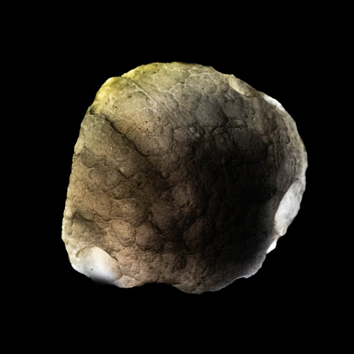 Saffordite 8.53 g 24x22mm - InnerVision Crystals