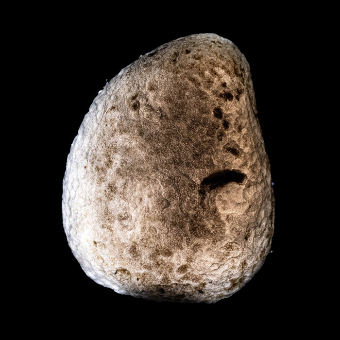 Saffordite 8.93 g 26x21mm - InnerVision Crystals