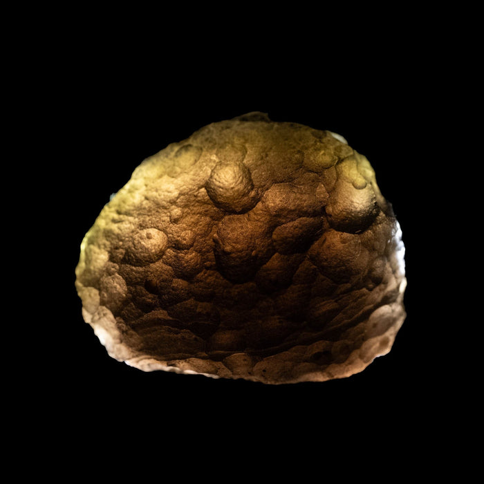 Saffordite 9.57 g 23x19mm - InnerVision Crystals