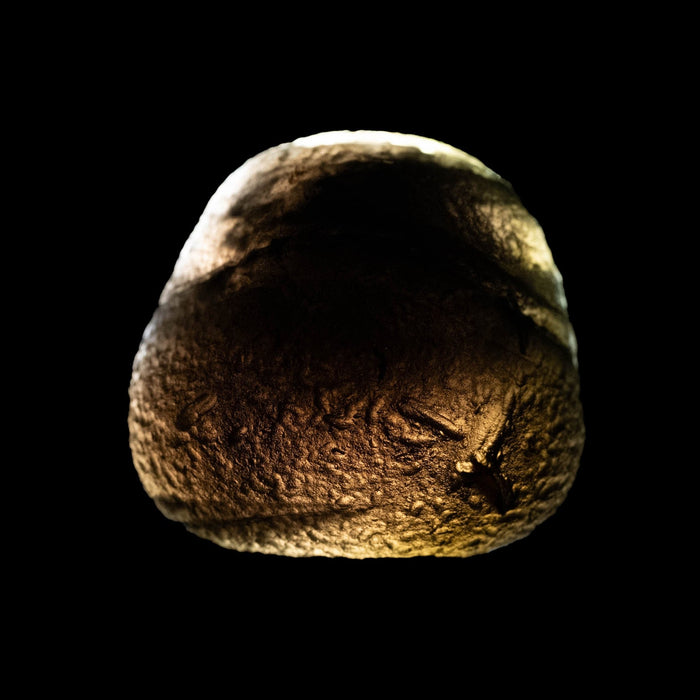 Saffordite 9.58 g 23x22mm - InnerVision Crystals