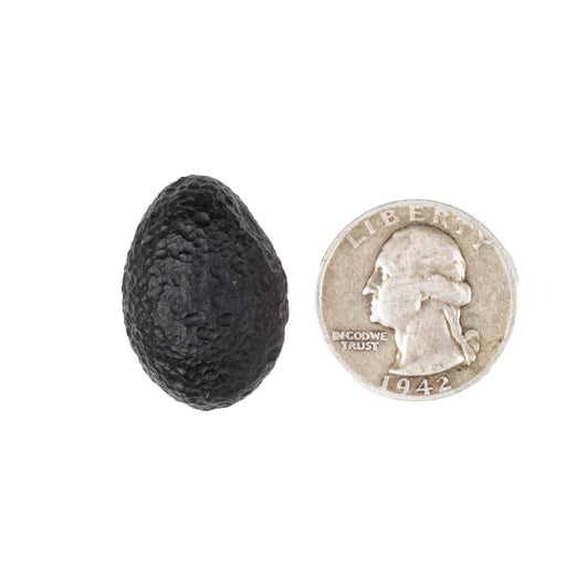 Saffordite 9.74 g 22x19mm - InnerVision Crystals