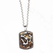 Sericho Pallasite Meteorite Pendant 28x21mm—Titanium Steel w/ 25" Chain PRE-ORDER - InnerVision Crystals