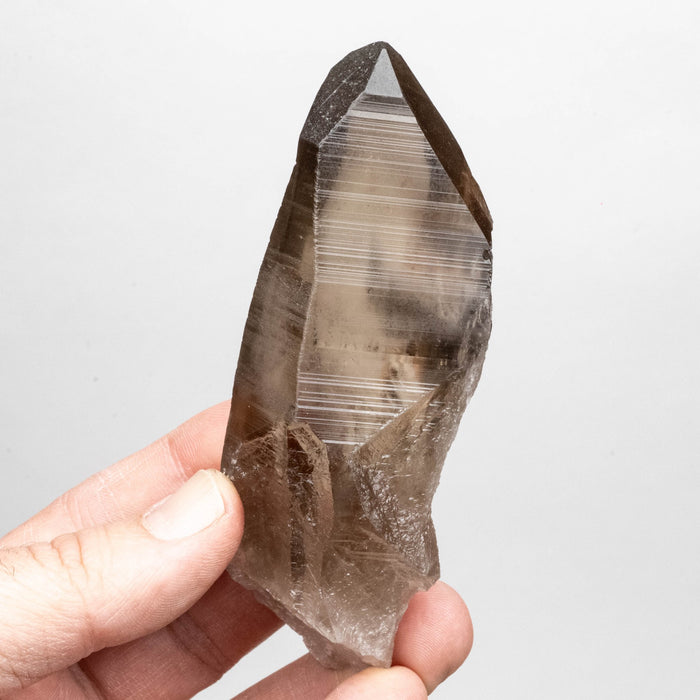 Smoky Lemurian Seed Crystal 160 g 114x37mm - InnerVision Crystals