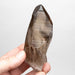 Smoky Lemurian Seed Crystal 160 g 114x37mm - InnerVision Crystals