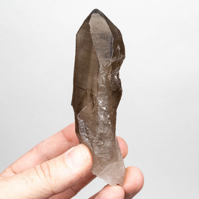 Smoky Lemurian Seed Crystal 160 g 114x37mm - InnerVision Crystals