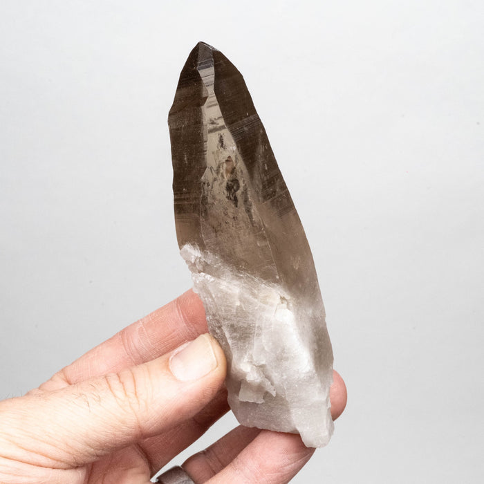 Smoky Lemurian Seed Crystal 182 g 121x41mm - InnerVision Crystals