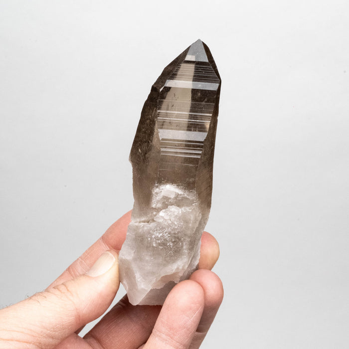 Smoky Lemurian Seed Crystal 182 g 121x41mm - InnerVision Crystals