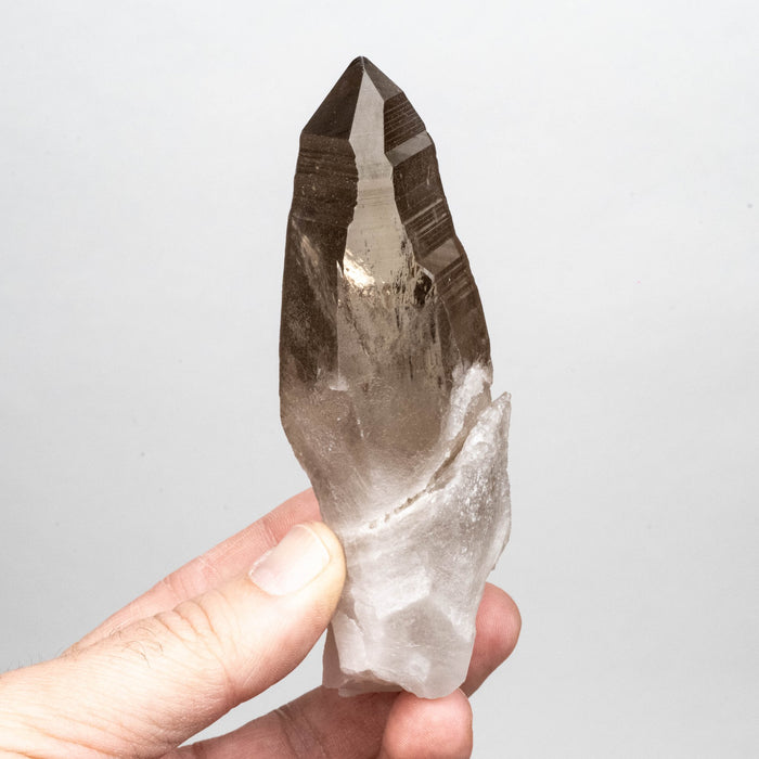 Smoky Lemurian Seed Crystal 182 g 121x41mm - InnerVision Crystals