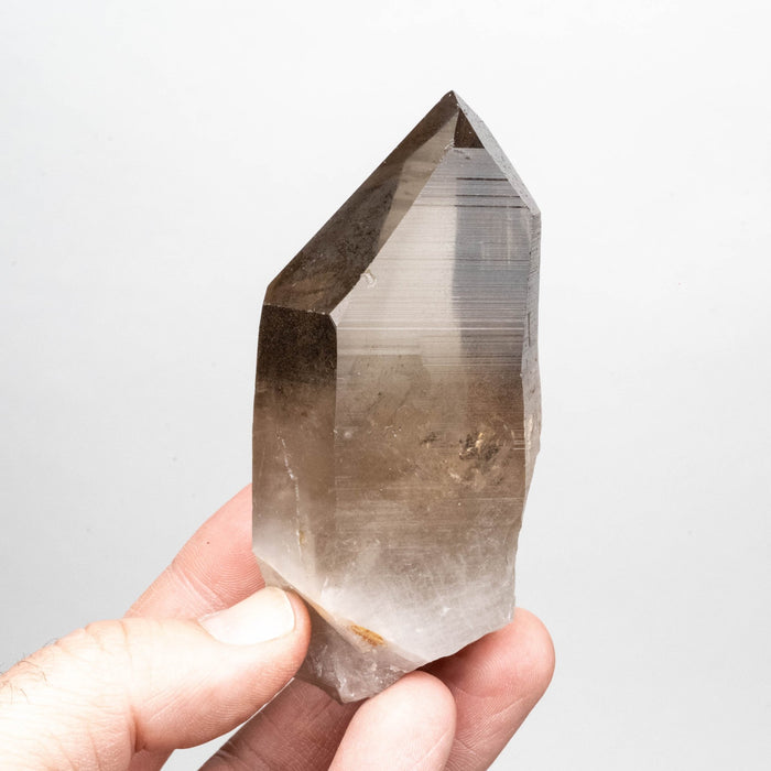 Smoky Lemurian Seed Crystal 224 g 99x44mm - InnerVision Crystals