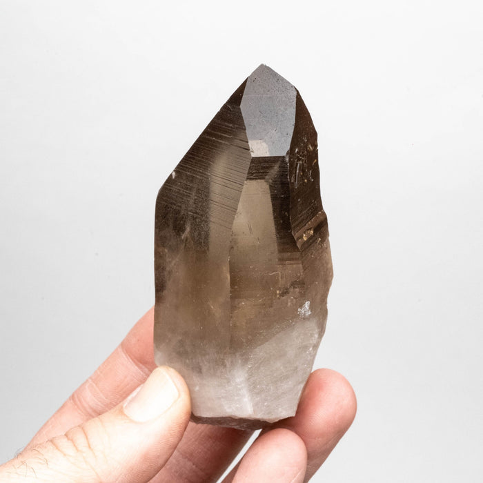 Smoky Lemurian Seed Crystal 224 g 99x44mm - InnerVision Crystals