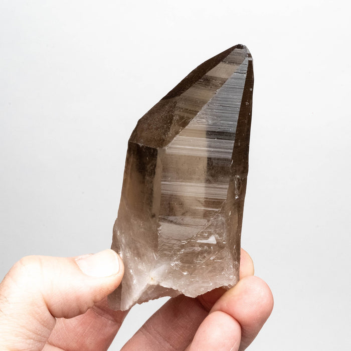 Smoky Lemurian Seed Crystal 236 g 99x45mm - InnerVision Crystals
