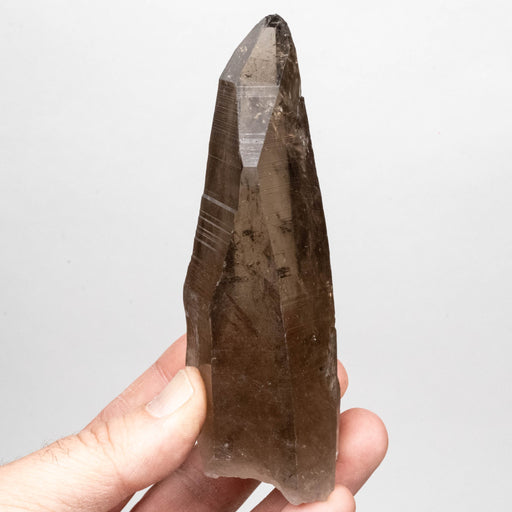 Smoky Lemurian Seed Crystal 262 g 127x41mm - InnerVision Crystals