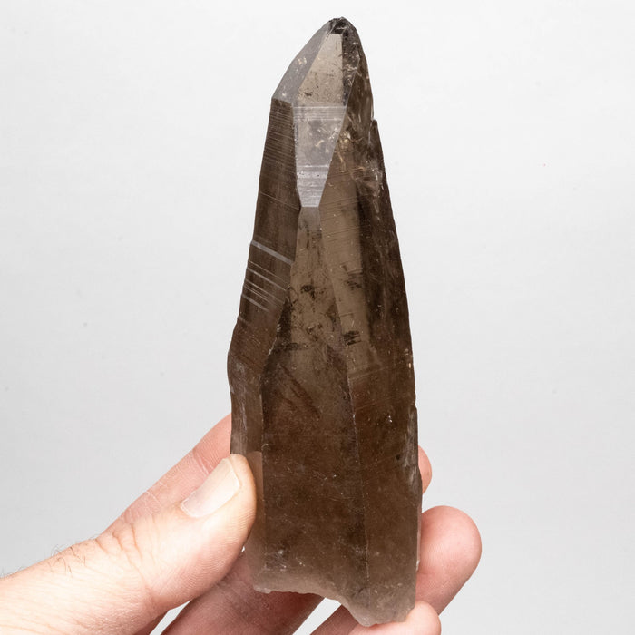 Smoky Lemurian Seed Crystal 262 g 127x41mm - InnerVision Crystals