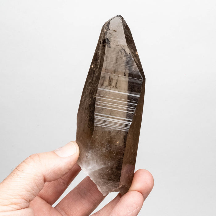 Smoky Lemurian Seed Crystal 262 g 127x41mm - InnerVision Crystals